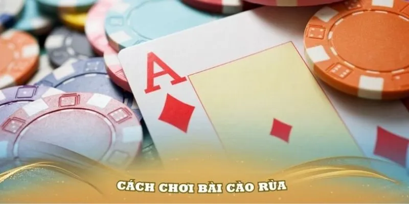 Bí kíp đặt cược bài Cào Rùa chuẩn như chuyên gia