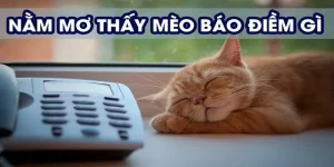 Mơ Thấy Mèo - Giải Mã Giấc Mơ Chi Tiết Về Điềm Báo